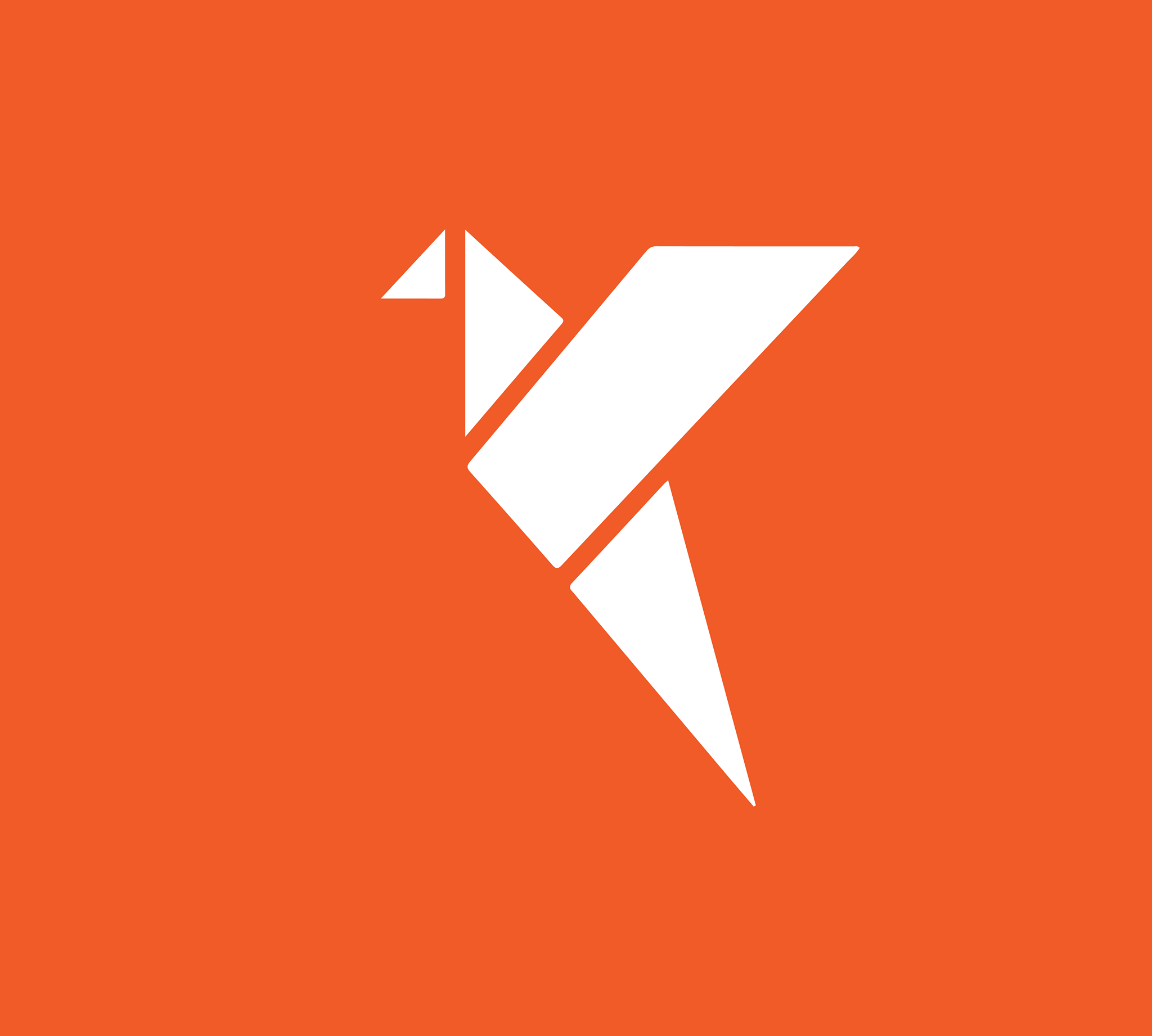 Skylark Drones logo